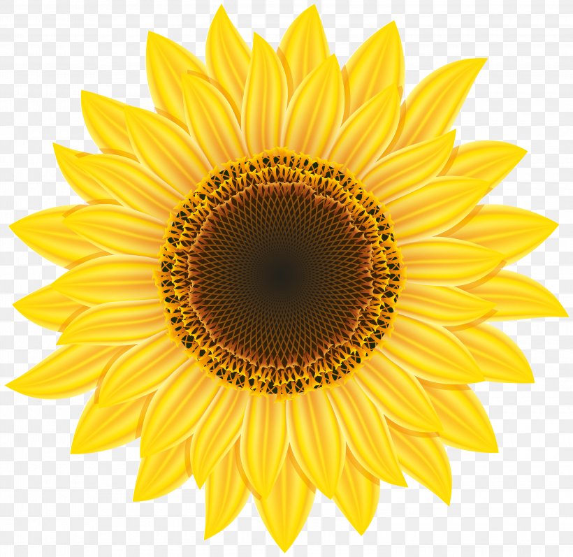 Common Sunflower Pixel Computer File, PNG, 3000x2919px, Common Sunflower, Daisy Family, Flower, Flowering Plant, Petal Download Free
