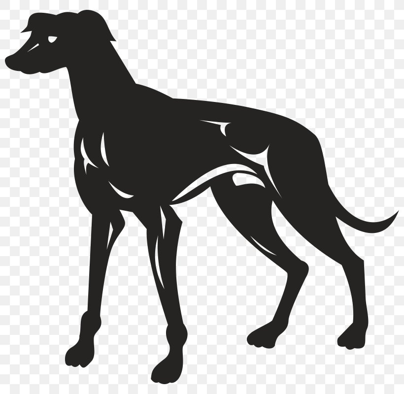 Greyhound Lines Royalty-free, PNG, 800x800px, Greyhound Lines, Animal Sports, Azawakh, Black, Black And White Download Free