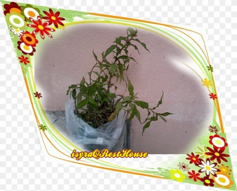 Herb Flowerpot, PNG, 840x680px, Herb, Flowerpot, Plant Download Free