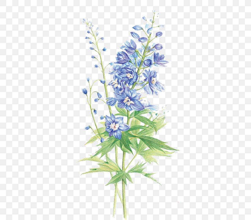 Hyacinthus Orientalis Floral Design Flower Purple, PNG, 510x718px, Hyacinthus Orientalis, Bluebonnet, Color, Cut Flowers, Delphinium Download Free