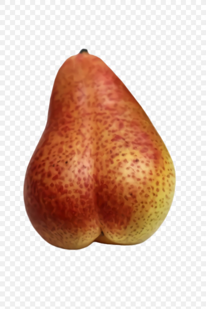 Pear Pear Nose Plant Food, PNG, 1632x2448px, Pear, Food, Fruit, Nose, Plant Download Free