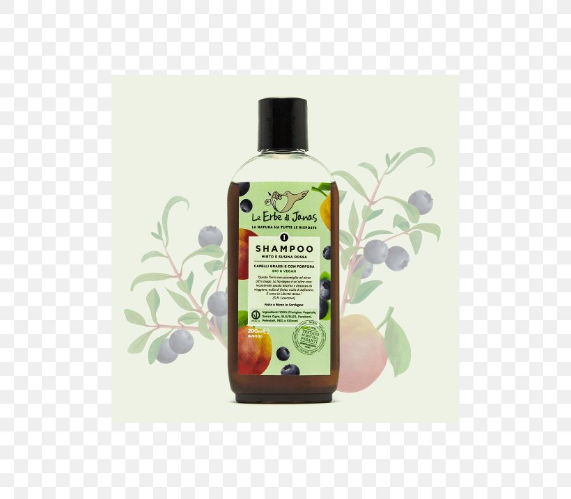 Shampoo Capelli Dandruff Hair Cosmetics, PNG, 500x717px, Shampoo, Capelli, Common Sage, Cosmetics, Crema Idratante Download Free
