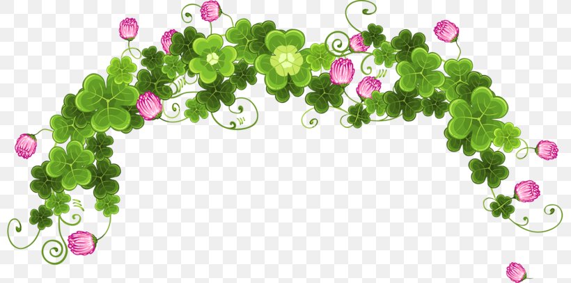 Floral Design Flower Wreath Green Crown, PNG, 800x407px, Floral Design, Color, Crown, Disk, Flora Download Free