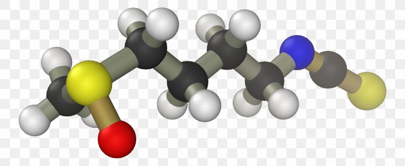 Sulforaphane Phytochemical Isothiocyanate Organosulfur Compounds Antioxidant, PNG, 1337x549px, Sulforaphane, Antioxidant, Bowling Equipment, Brassica Oleracea, Broccoli Download Free