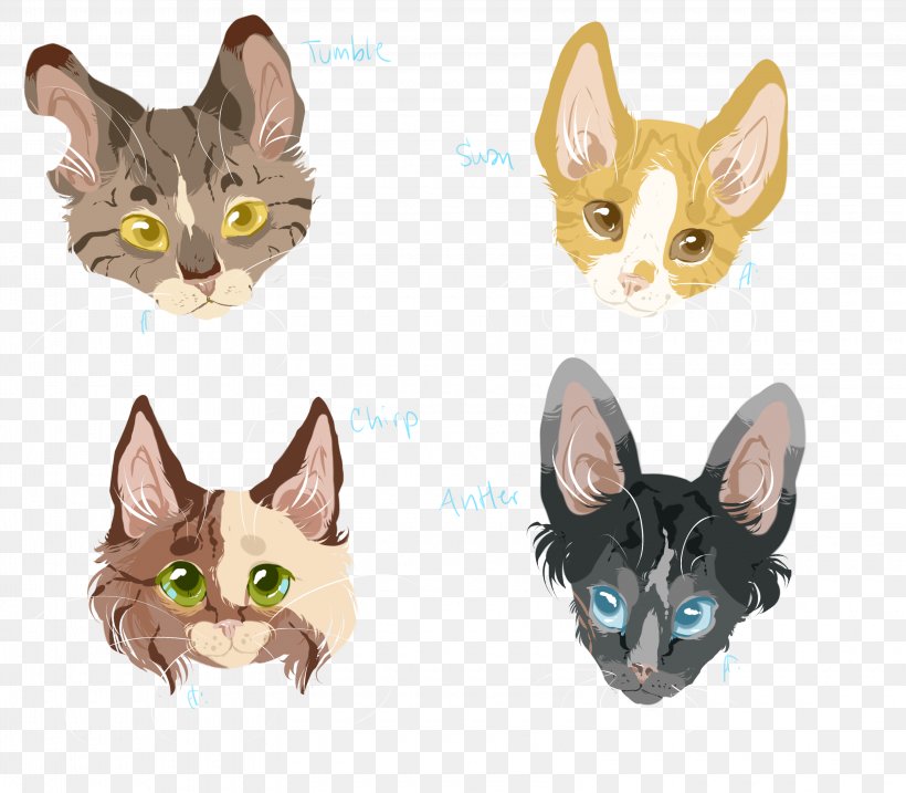 Whiskers Kitten Fauna, PNG, 3200x2800px, Whiskers, Carnivoran, Cat, Cat Like Mammal, Ear Download Free