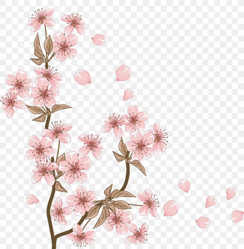 Cherry Blossom Flower Cerasus, PNG, 1450x1482px, Cherry Blossom, Blossom, Branch, Cerasus, Cherry Download Free