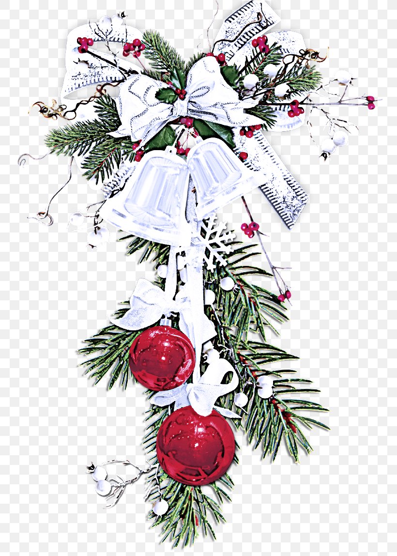 Christmas Ornament, PNG, 781x1148px, Oregon Pine, Branch, Christmas, Christmas Decoration, Christmas Ornament Download Free