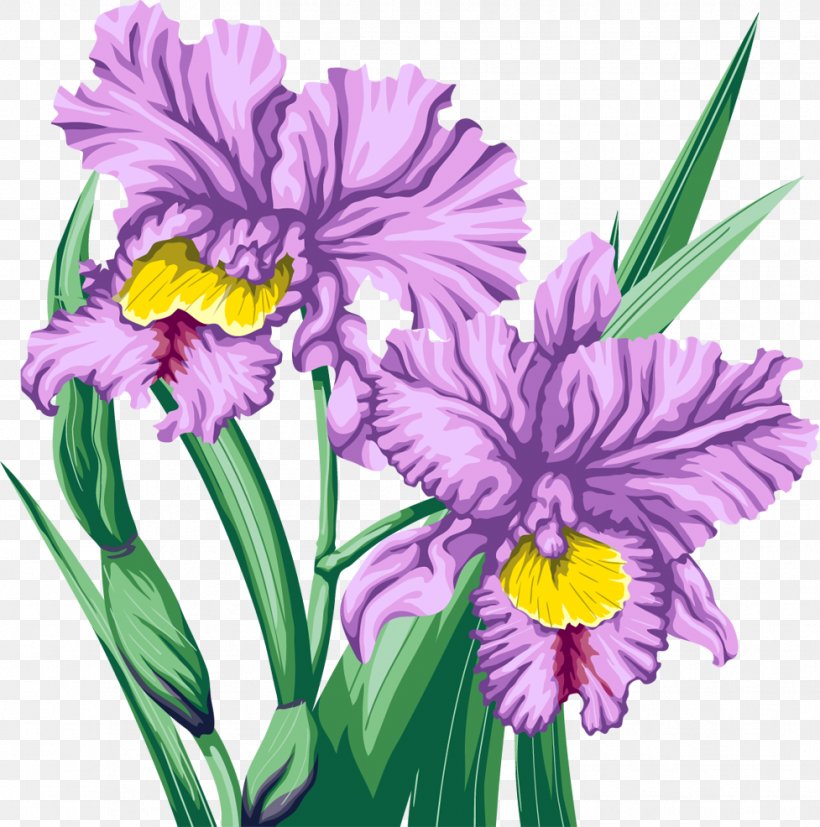 Cut Flowers Orchids Clip Art, PNG, 977x986px, Flower, Art, Cattleya, Cut Flowers, Drawing Download Free