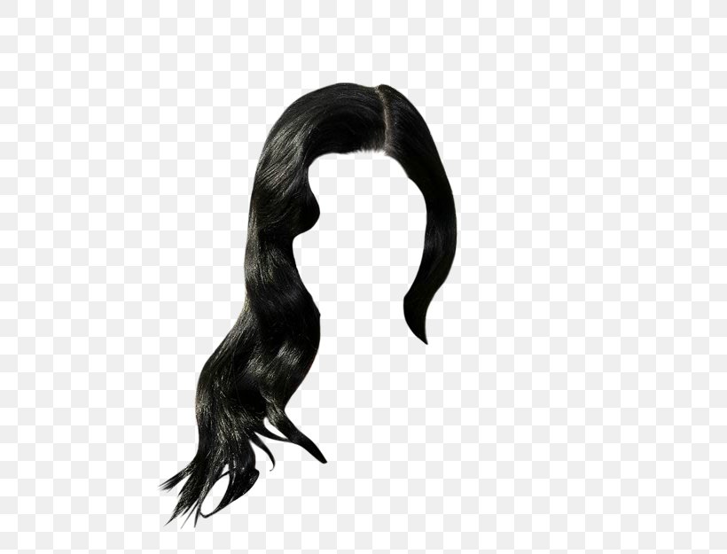 Hair Hairstyle Wig Human Black Hair, PNG, 521x625px, Hair, Artificial Hair Integrations, Black Hair, Hair Coloring, Hairstyle Download Free