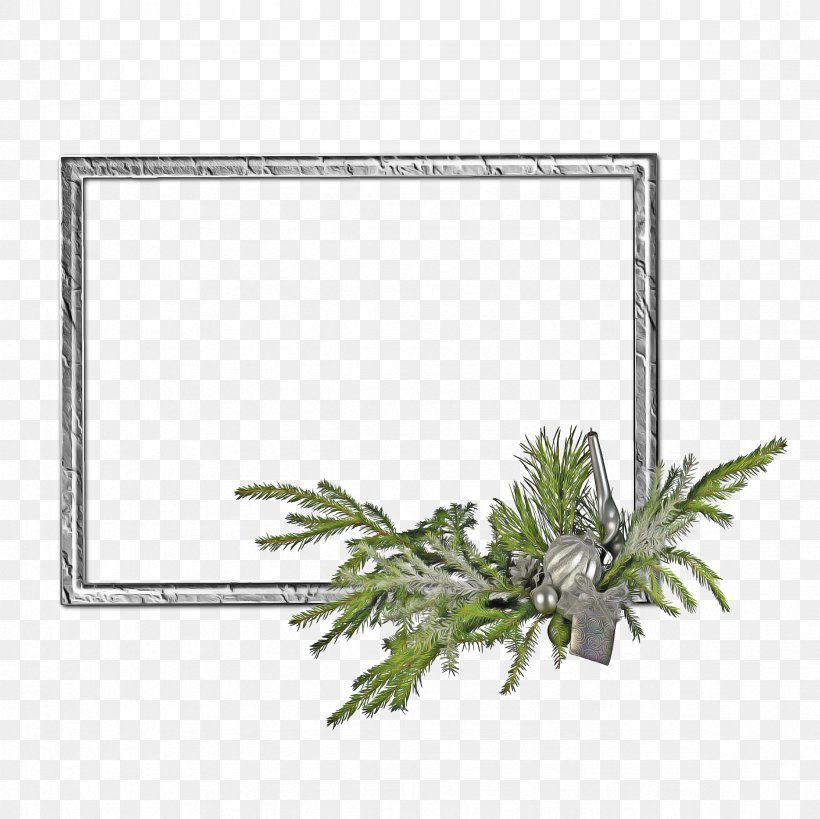 Picture Frame Frame, PNG, 2362x2362px, Rectangle, Colorado Spruce, Fir, Jack Pine, Picture Frame Download Free