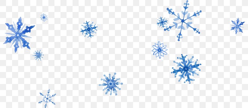 Snowflake Winter Drawing Painting Paper, PNG, 800x360px, Snowflake, Blue, Border, Branch, Cold Download Free