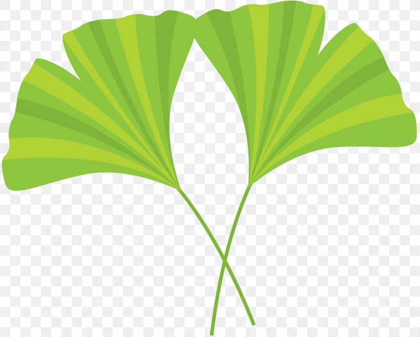 Tree Plant Stem Font Line Leaf, PNG, 1337x1075px, Tree, Botany, Flower, Grass, Green Download Free