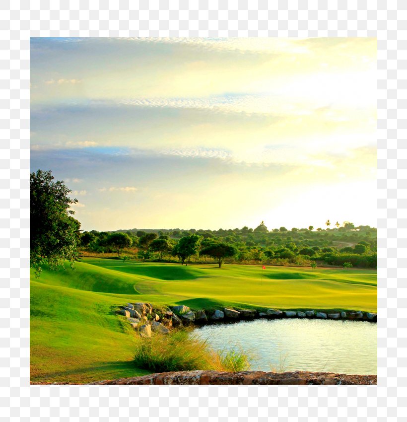 Golf Course Golf Clubs Hotel Coral Property Consultants LTD, PNG, 700x850px, Golf Course, Africa, Field, Golf, Golf Club Download Free