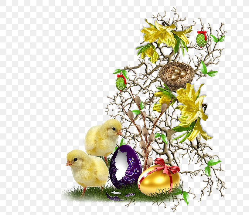 Labor Wish Pension Easter Dijak, PNG, 709x709px, Labor, Academic Year, Beak, Bird, Bird Nest Download Free