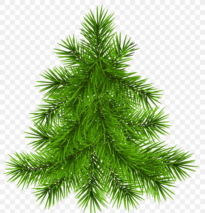 Pine Christmas Clip Art, PNG, 4792x4999px, Pine, Biome, Branch, Christmas, Christmas Decoration Download Free