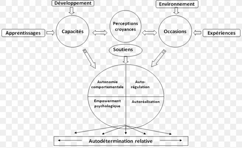 Self-determination Psychology Disability Theory Modell, PNG, 891x546px, Selfdetermination, Area, Black And White, Brand, Conceptual Model Download Free