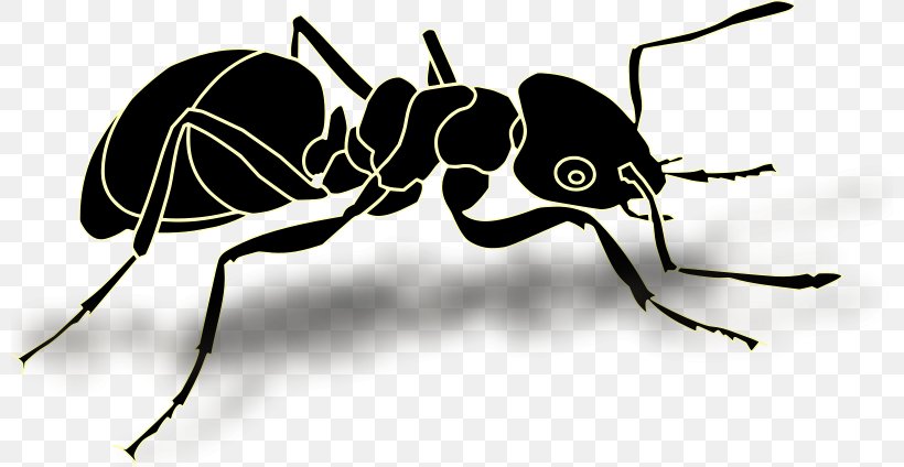 Ant Vector Graphics Clip Art Image Insect, PNG, 800x424px, Ant, Arthropod, Black And White, Cartoon, Drawing Download Free