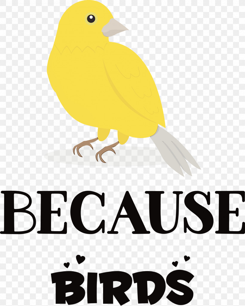 Birds Logo Beak Meter Yellow, PNG, 2407x3000px, Bird, Animal, Beak, Biology, Birds Download Free
