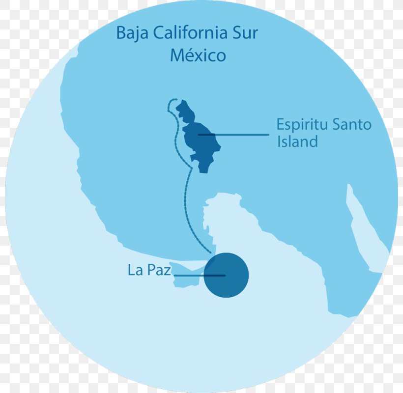 Isla Espíritu Santo RED Travel México UNESCO Sea Lion, PNG, 800x800px, Unesco, Baja California Peninsula, Cultural Heritage, Diagram, Island Download Free