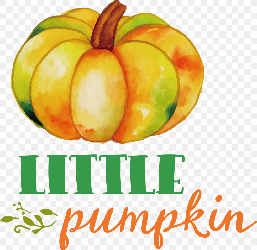 Little Pumpkin Thanksgiving Autumn, PNG, 2063x2006px, Little Pumpkin, Apple, Autumn, Local Food, Meter Download Free