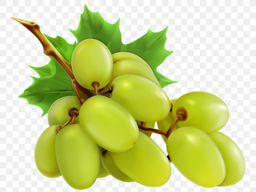 Vector Graphics Grape Illustration Clip Art Food, PNG, 866x650px, Grape, Apple, Berries, Flower, Flowering Plant Download Free