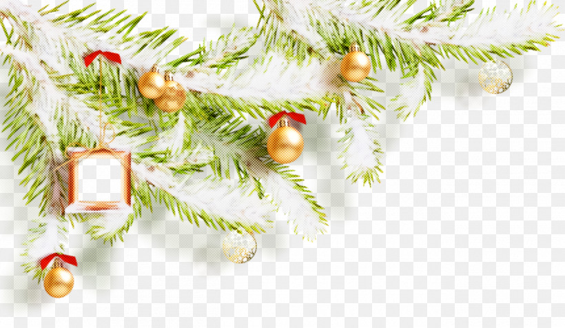 Christmas Ornaments Christmas Decoration Christmas, PNG, 1300x756px, Christmas Ornaments, Branch, Christmas, Christmas Decoration, Christmas Ornament Download Free