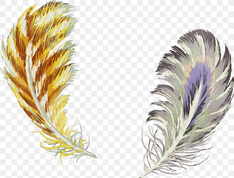 Feather, PNG, 1200x917px, Watercolor, Fashion Accessory, Feather, Grass, Grass Family Download Free