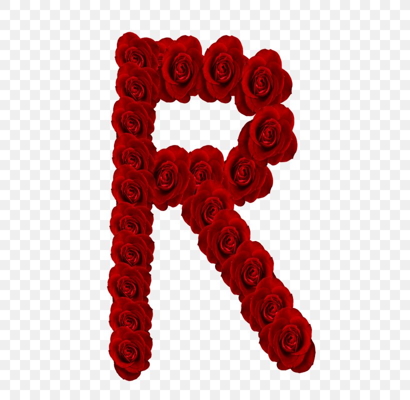 Letter Alphabet Rose, PNG, 800x800px, Letter, Alphabet, Cut Flowers, Flower, Garden Roses Download Free