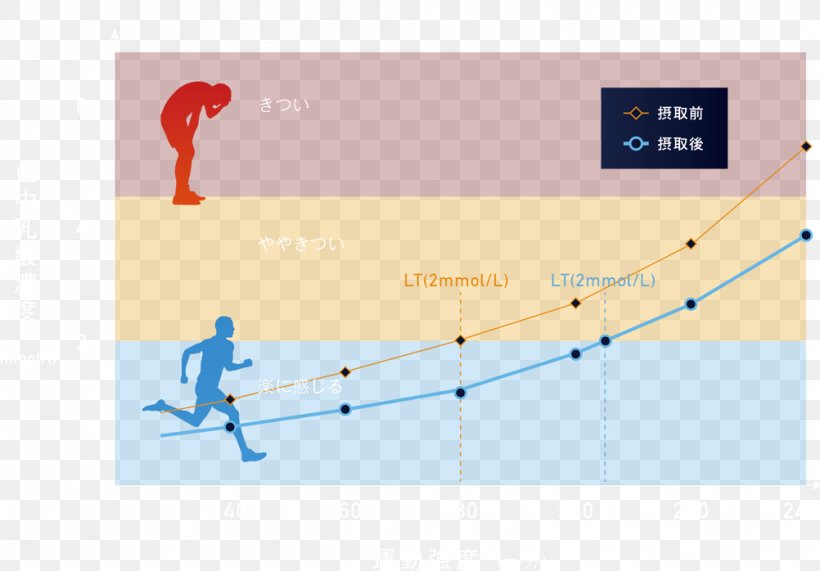 Trail Running Marathon Alcoholic Drink Electricity Sport, PNG, 1002x698px, Trail Running, Alcoholic Drink, Brand, Computeraided Design, Diagram Download Free