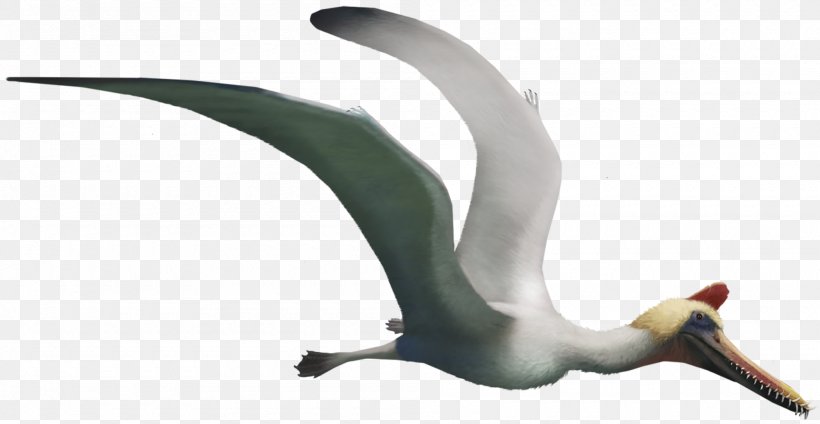 Guidraco Boreopterus Jiufotang Formation Flying Reptiles Pterosaurs, PNG, 2000x1036px, Jiufotang Formation, Animal, Animal Figure, Beak, Bird Download Free