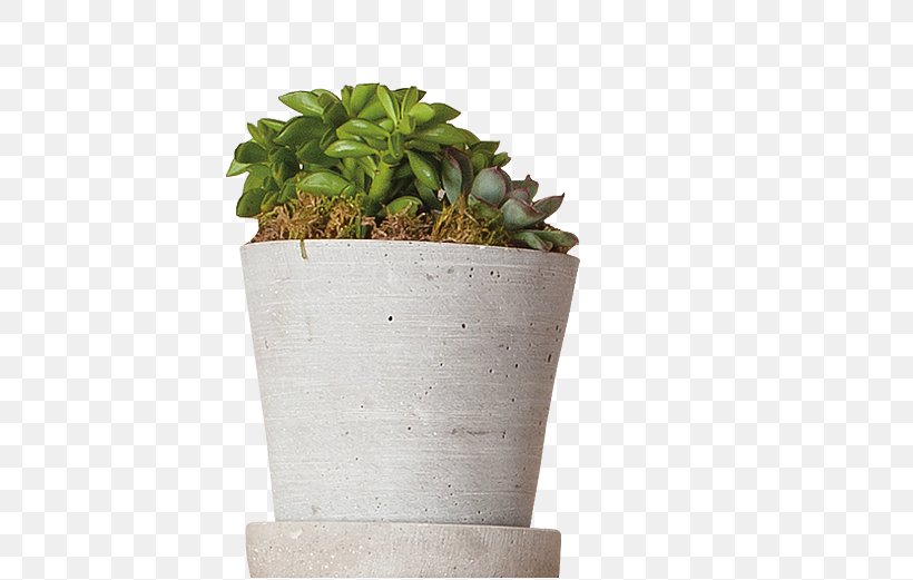 Home Automation Kits Lighting Flowerpot Houseplant, PNG, 531x521px, Home Automation Kits, Computer Monitors, Discover Card, Entertainment, Flowerpot Download Free