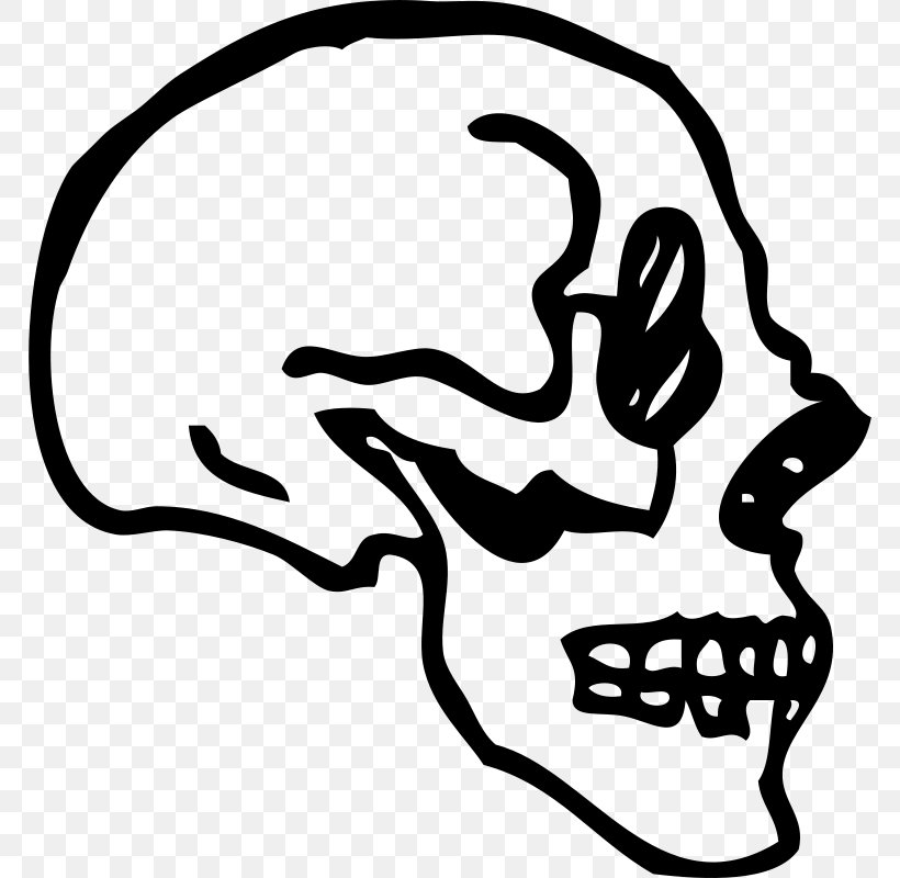 Skull Human Skeleton Drawing Clip Art, PNG, 770x800px, Skull, Artwork, Black, Black And White, Bone Download Free