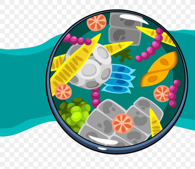 Zooplankton Organism Water Food Web, PNG, 960x832px, Plankton, Aquatic Ecosystem, Ask A Biologist, Biologist, Biology Download Free