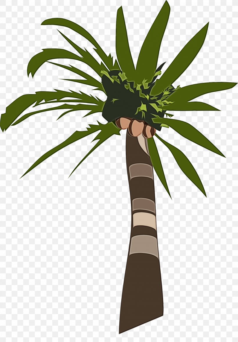 Cartoon Palm Tree, PNG, 1338x1920px, Coconut, Arecales, Branch, Flower, Flowerpot Download Free