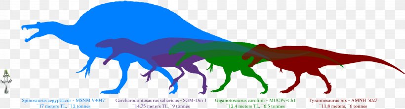 Giganotosaurus Dinosaur Size Carcharodontosaurus Spinosaurus Mapusaurus, PNG, 2760x750px, Watercolor, Cartoon, Flower, Frame, Heart Download Free