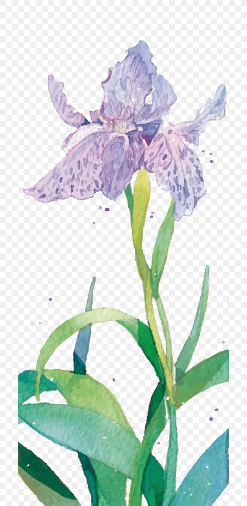 Purple Watercolor Painting Flower, PNG, 700x1676px, Purple, Color, Flora, Floral Design, Floristry Download Free