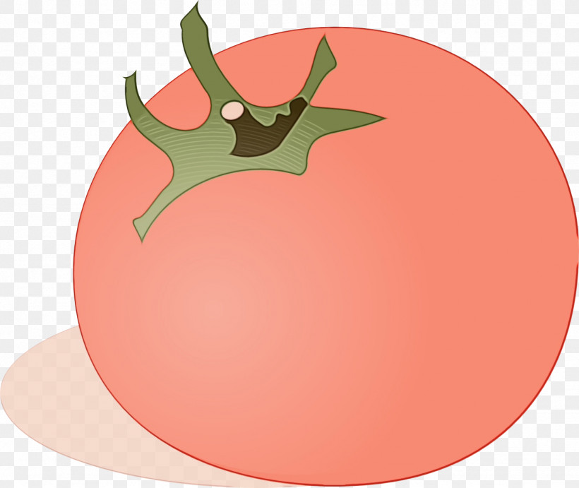 Tomato, PNG, 1331x1123px, Watercolor, Apple, Biology, Cartoon, Paint Download Free