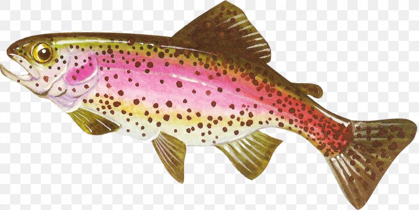 Coastal Cutthroat Trout Salmon Freshwater Fish, PNG, 1562x783px, Coastal Cutthroat Trout, Animal Figure, Bony Fish, Child, Cod Download Free