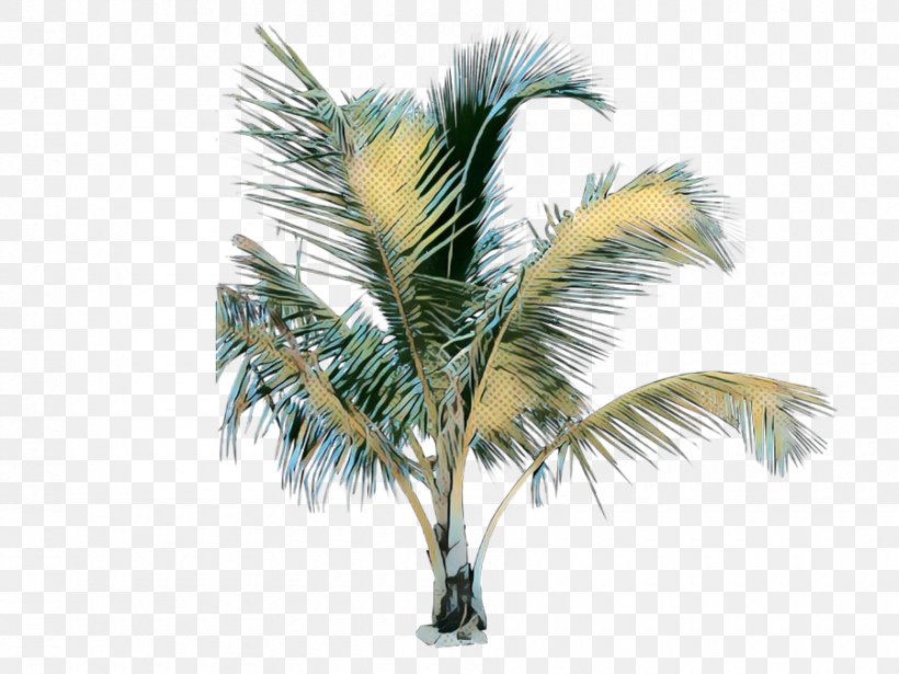 Date Tree Leaf, PNG, 900x675px, Pop Art, Areca Palm, Arecales, Attalea Speciosa, Borassus Flabellifer Download Free