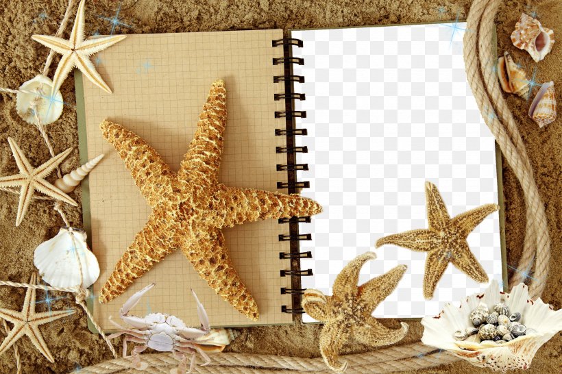 High-definition Television Starfish High-definition Video 1080p Wallpaper, PNG, 2362x1575px, 4k Resolution, Highdefinition Television, Aspect Ratio, Display Resolution, Highdefinition Video Download Free