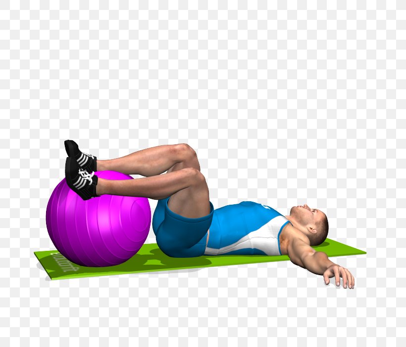 Exercise Balls Physical Fitness Abdominal Exercise Abdomen, PNG, 700x700px, Watercolor, Cartoon, Flower, Frame, Heart Download Free