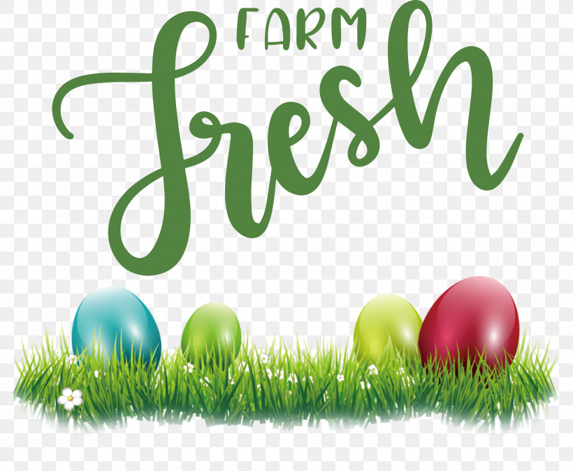 Farm Fresh, PNG, 3000x2468px, Farm Fresh, Easter Egg, Egg, Grasses, Green Download Free