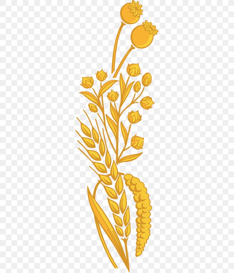Grasses Food Plant Stem Clip Art, PNG, 291x955px, Grasses, Branch, Commodity, Family, Flora Download Free