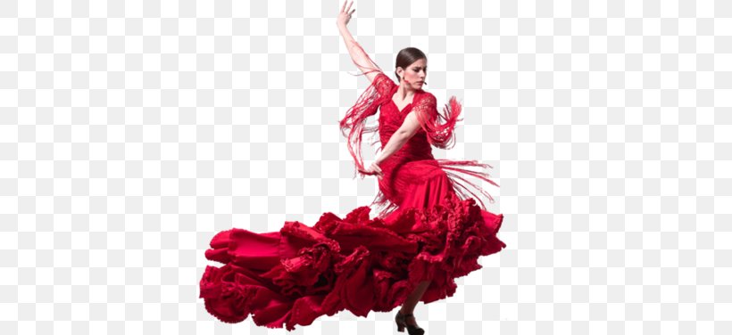 Spain Flamenco Vivo Carlota Santana Dance Troupe, PNG, 376x376px, Watercolor, Cartoon, Flower, Frame, Heart Download Free