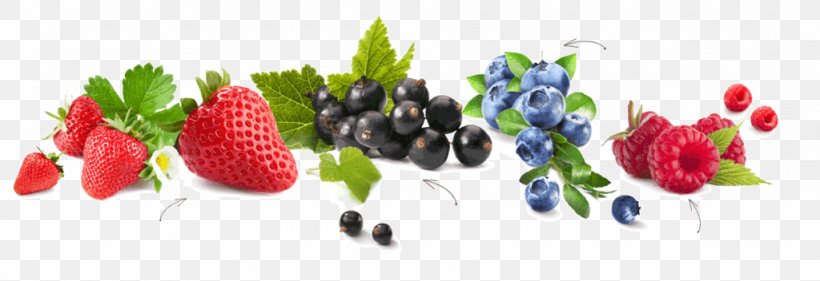 Strawberry Blueberry Food Flavonoid, PNG, 1024x352px, Strawberry, Auglis, Banana, Berry, Blueberry Download Free