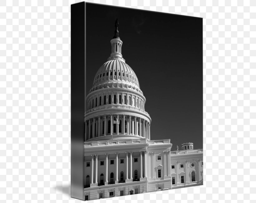 Study Guide For Jillson's American Government: Political Change And Institutional Development Priority Book 4: Government Classical Architecture Facade, PNG, 495x650px, Classical Architecture, Ancient Roman Architecture, Ancient Rome, Architecture, Basilica Download Free