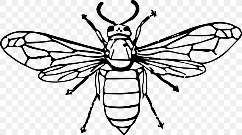 Insect Bee Line Art Wasp Clip Art, PNG, 1771x994px, Insect, Artwork, Bee, Black And White, Brush Footed Butterfly Download Free