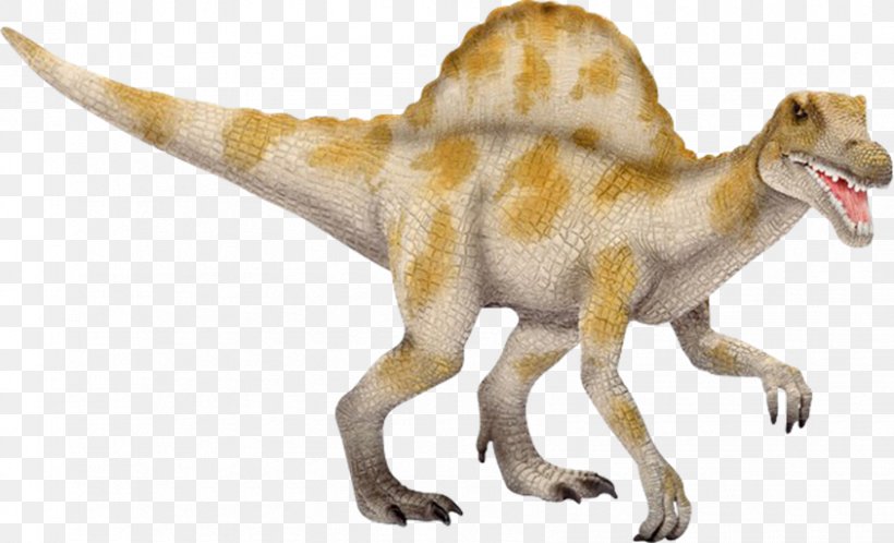 Spinosaurus Tyrannosaurus Acrocanthosaurus Velociraptor Oviraptor, PNG, 843x512px, Spinosaurus, Acrocanthosaurus, Animal Figure, Bipedalism, Carnivore Download Free