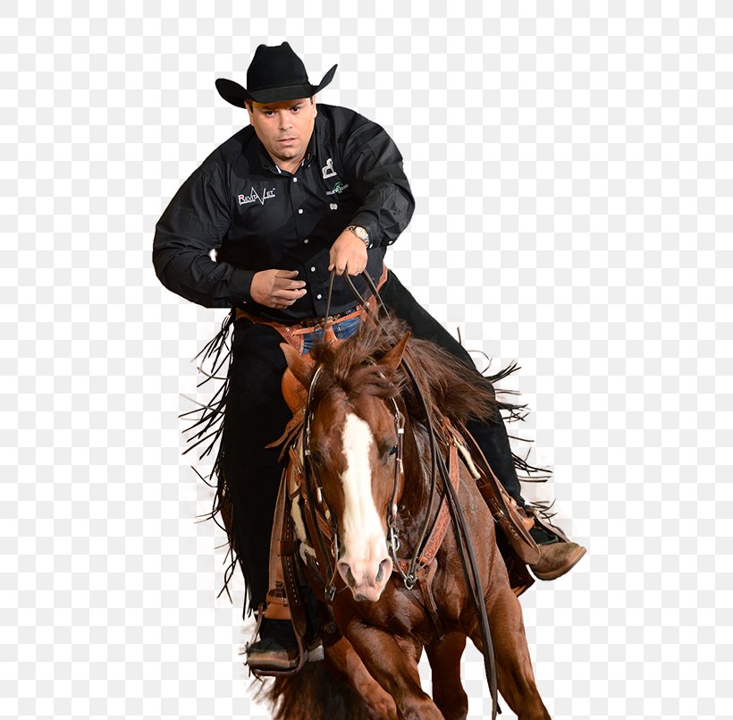 Stallion Reining Horse Hunt Seat, PNG, 533x805px, Stallion, Bit, Bridle, Cowboy, Equestrian Download Free