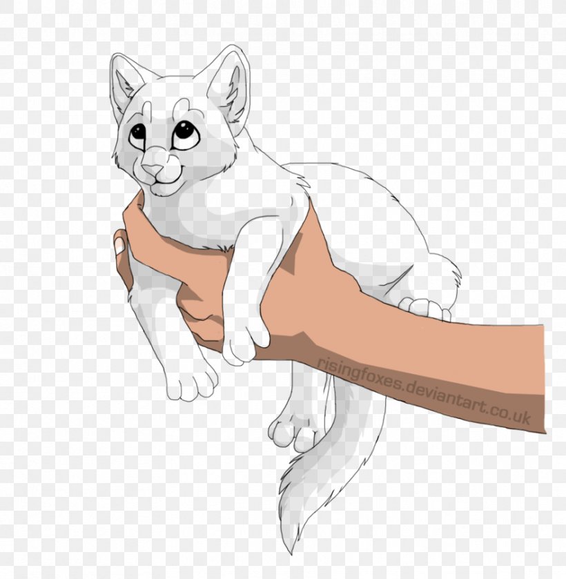 Whiskers Cat Kitten Line Art Drawing, PNG, 883x904px, Whiskers, Arm, Art, Art Museum, Artist Download Free